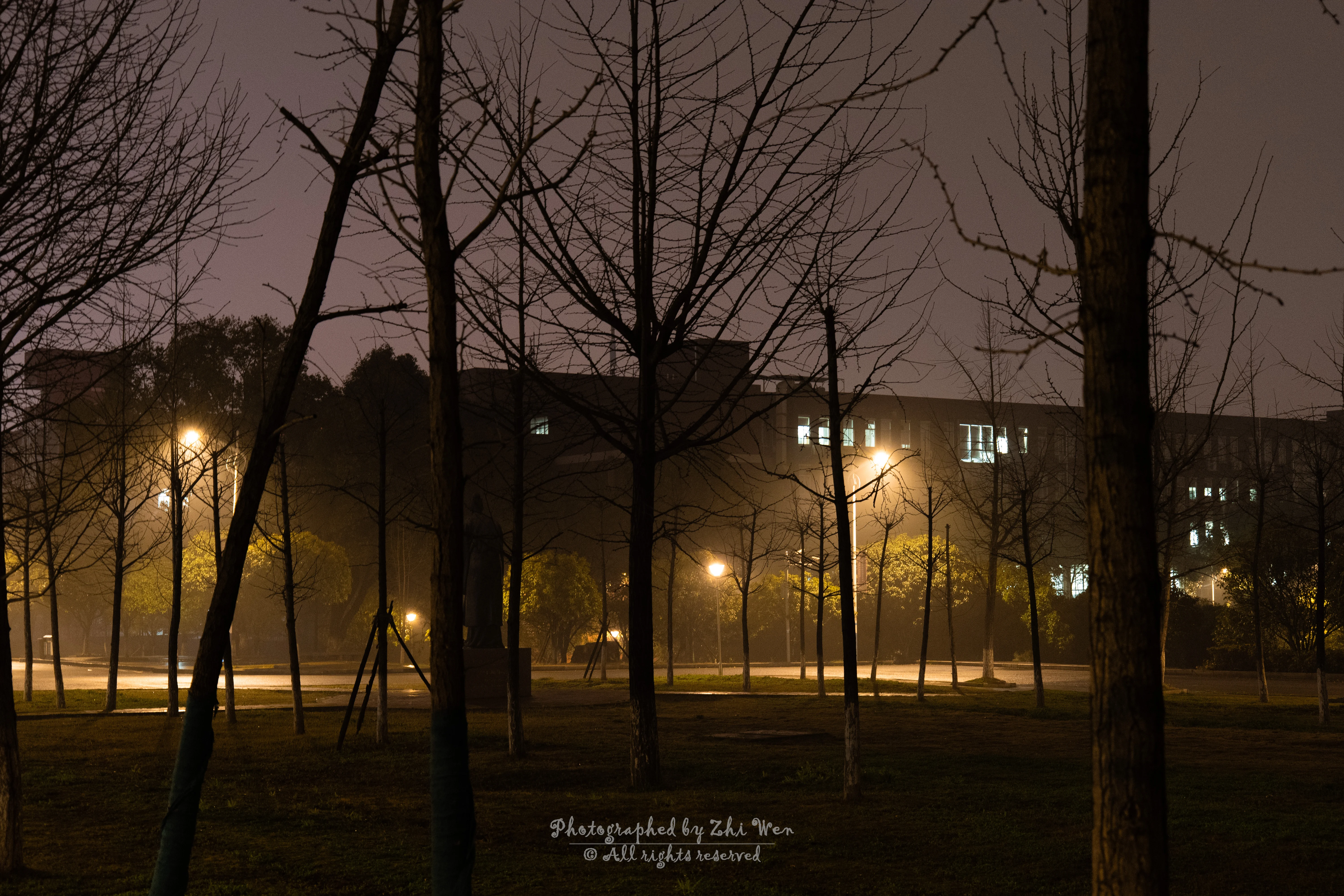 《走在黑夜里，看雨雾灯阑》