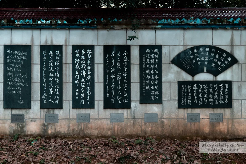 《壁画词句》
