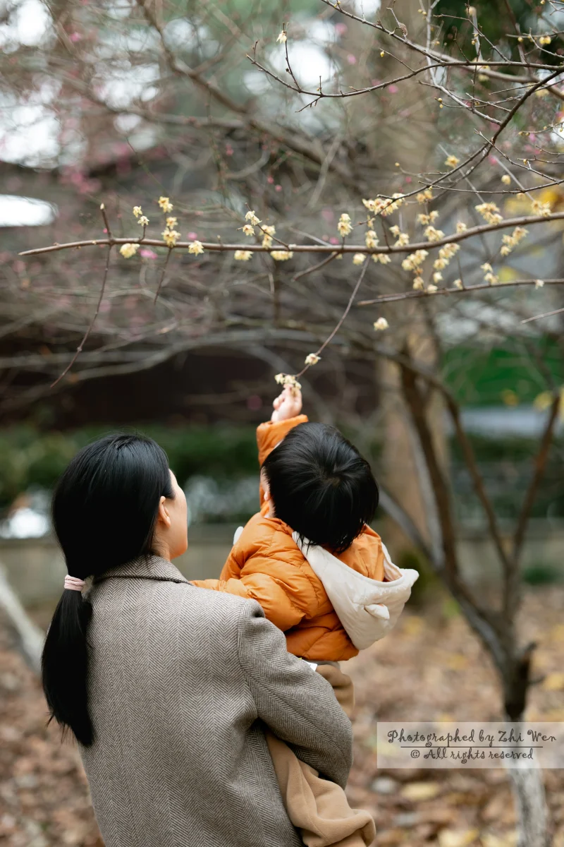 《摘叶子》